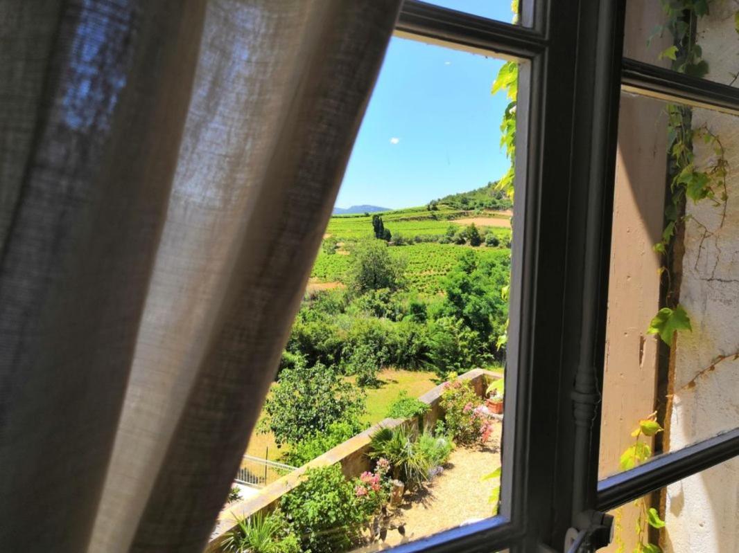 Chambre D'Hotes Au Domaine Du Soleil Couchant Saint-Andre-de-Roquelongue Номер фото
